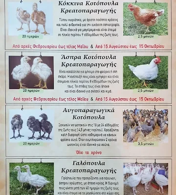 Πτηνοτροφείο “Η Χρυσή Κλώσσα”