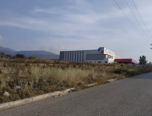 ΓΙΑΝΝΙΤΣΗΣ GROUP ΑΕ