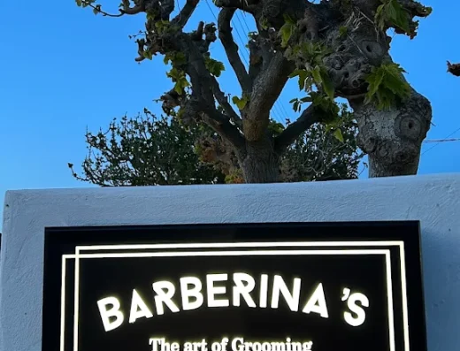 BARBERINA’S The Art Of Grooming ΚΟΜΜΩΤΗΡΙΟ ΑΝΤΡΩΝ ,ΑΝΔΡΟΣ
