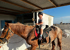 ΙΠΠΙΚΟΣ ΟΜΙΛΟΣ – RIDING HORSE ΣΑΝΤΟΡΙΝΗ